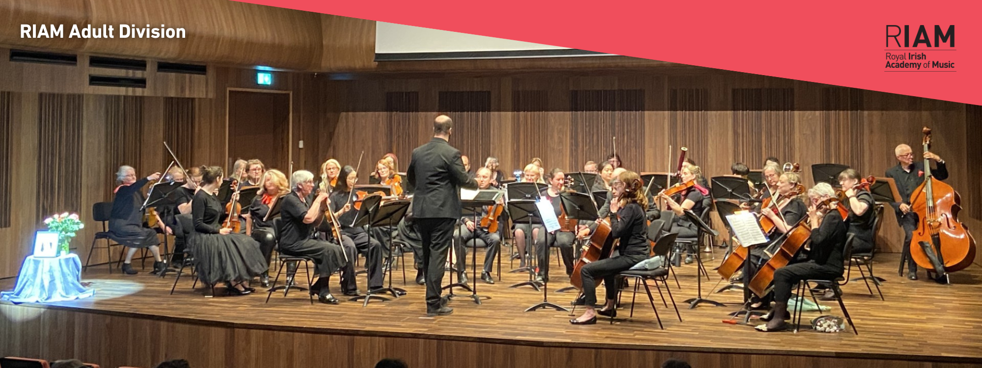 Adult Division Orchestra