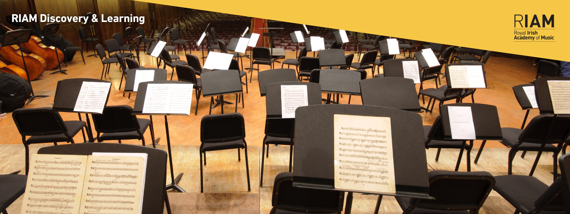 Inside the Orchestra – Summer Workshop