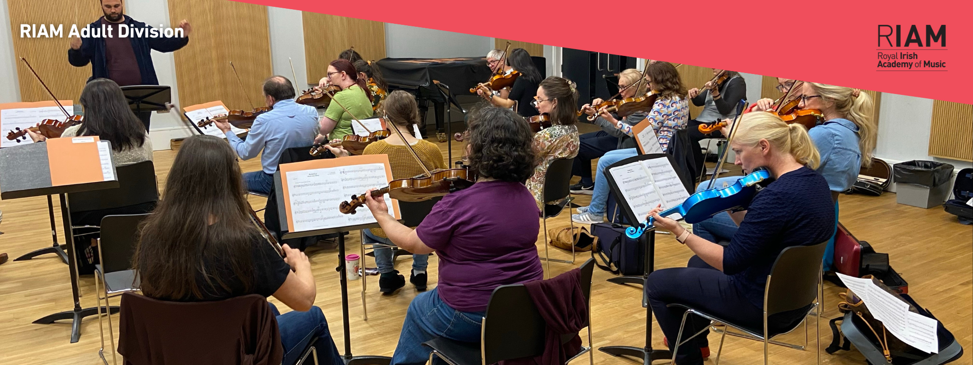 Adult Division Orchestra