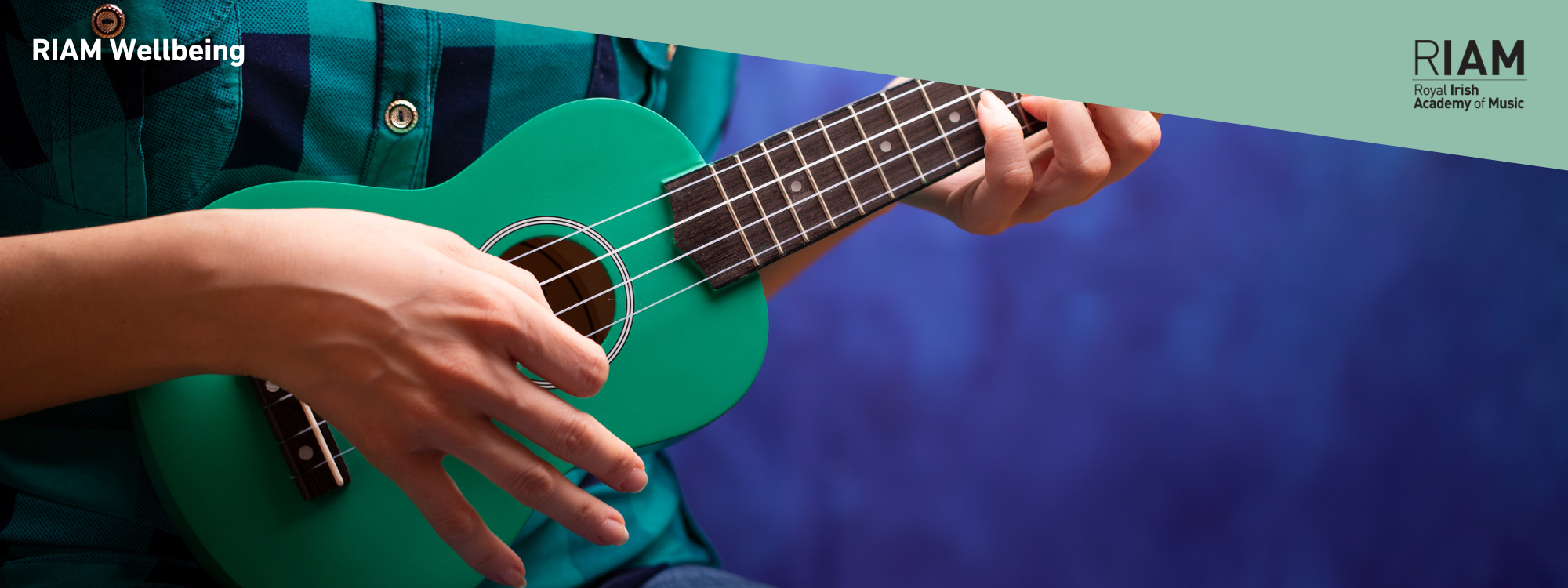 Ukulele Happy - Groovy Chords & Easy Action