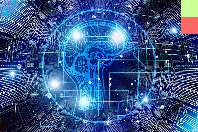 neuroscience-CPD-tile3.jpg
