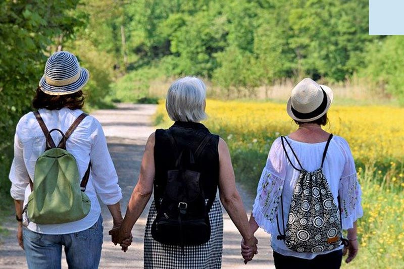 Supporting Perimenopause and Menopause