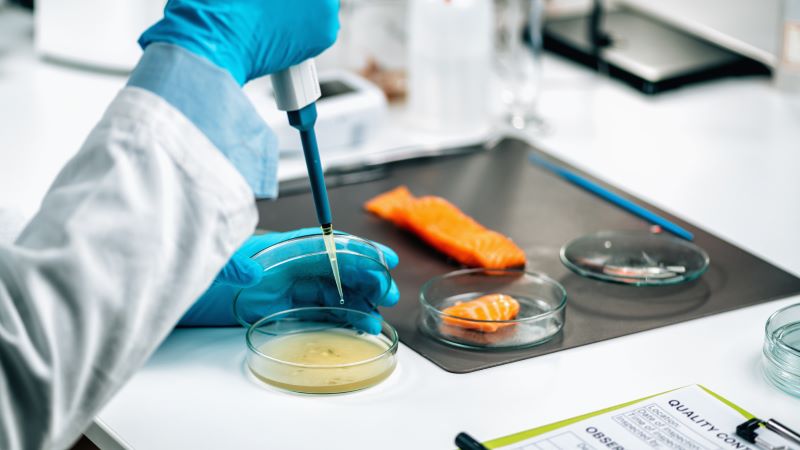 Food and Environmental Microbiology