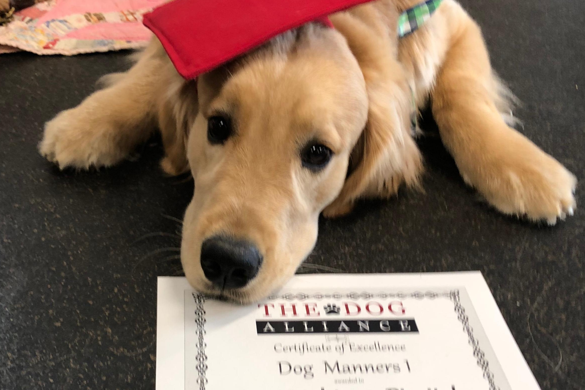 golden%20graduating%20class.png