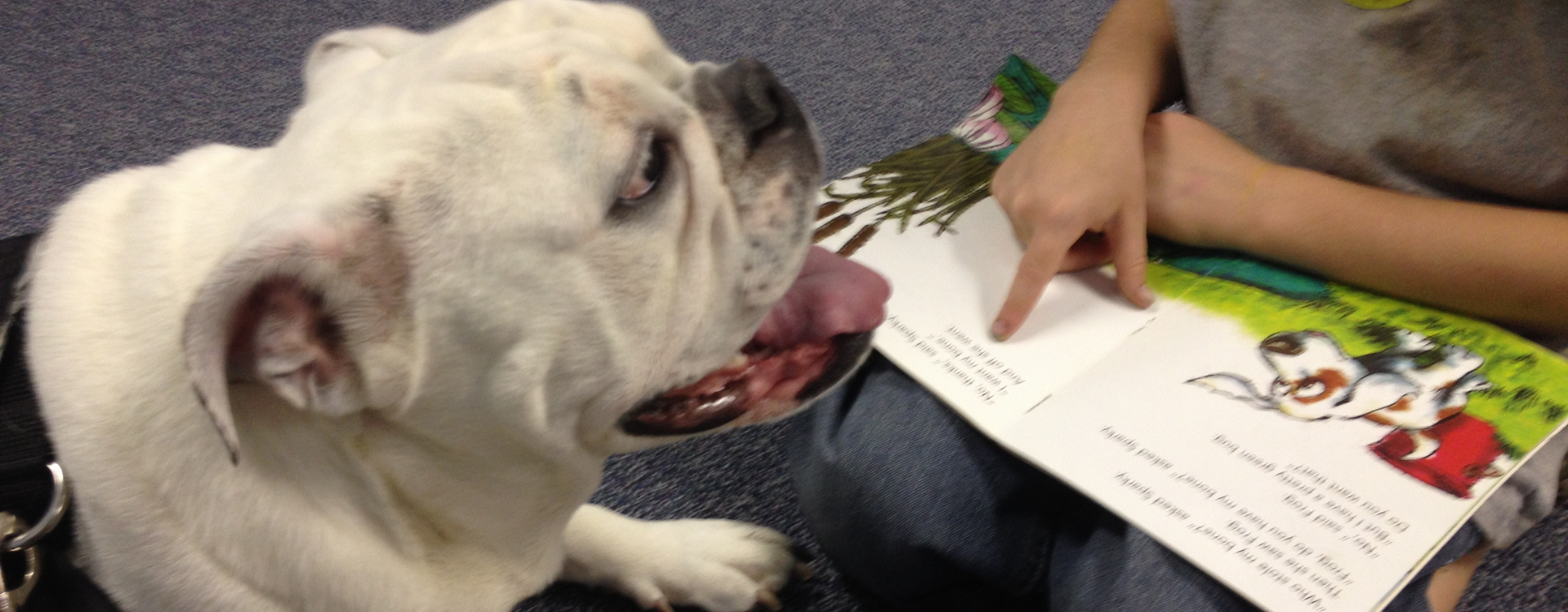 bulldog%20and%20book.png