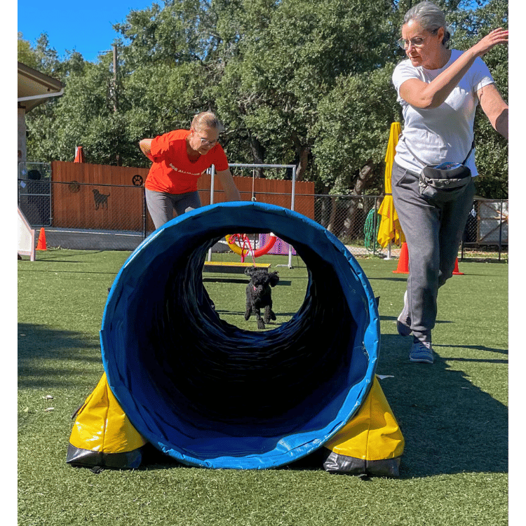 Agility Seminars - Audit