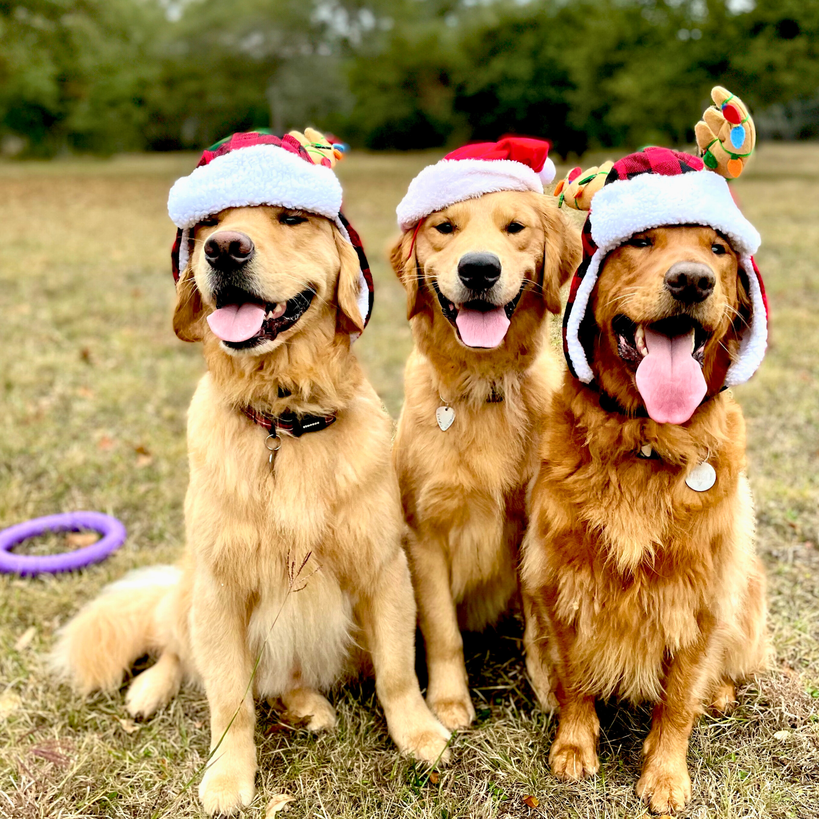 Holiday Fun & Games - Connection and Teamwork