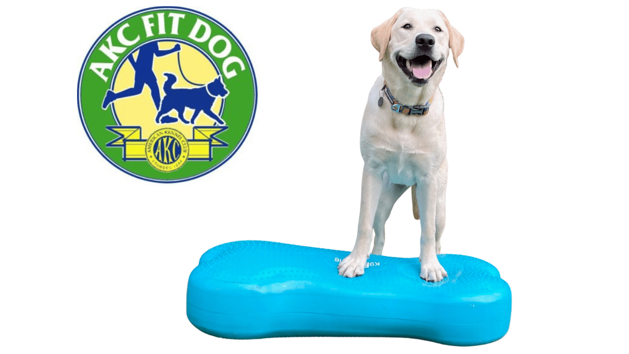 hero%20fit%20dog%20lab%20peanut%20%281280%20x%20720%20px%29.png