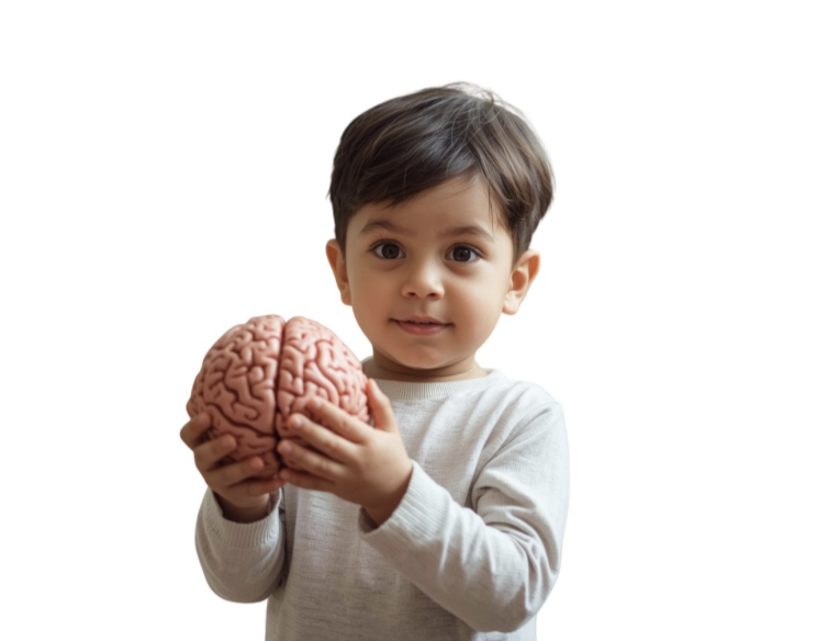  Baby Brain Development