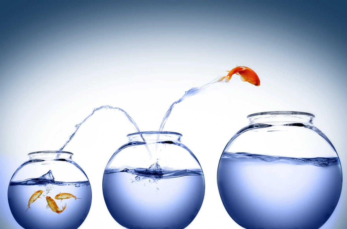 MANAGING EXPECTATIONS 