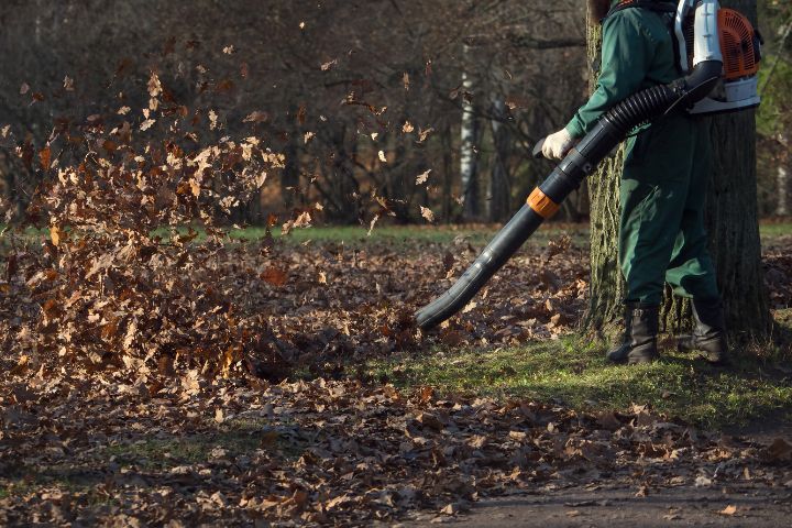 Lantra Leaf Blowers