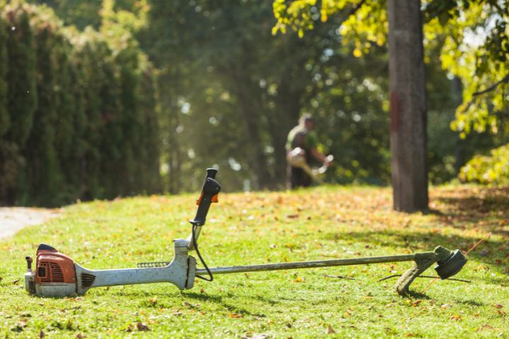 Lantra Safe Use of Brush Cutters & Trimmers