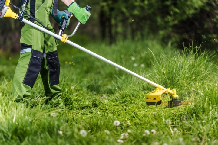 Brush Cutters & Trimmers (Refresher)