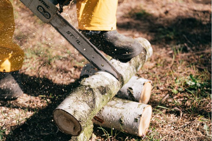 Lantra Chainsaws & Basic Felling Up To 200mm
