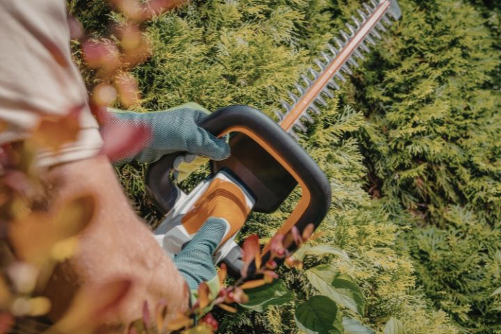 Lantra Handheld Hedge Trimmer