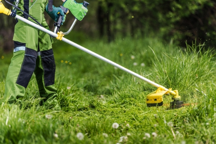 Lantra Trimmers Grass Cutting