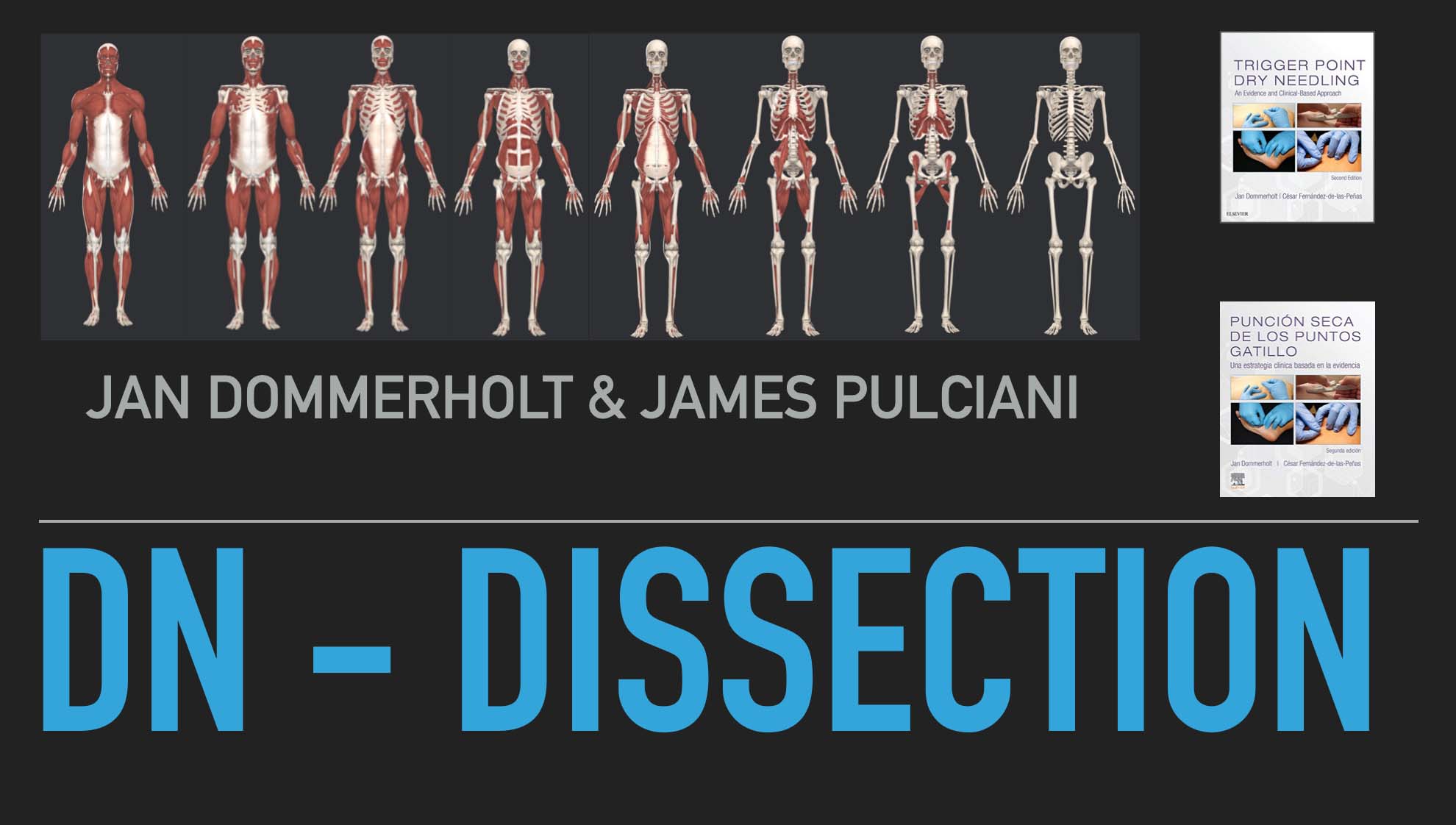 DN%20Dissection%20Place%20Holder.jpg