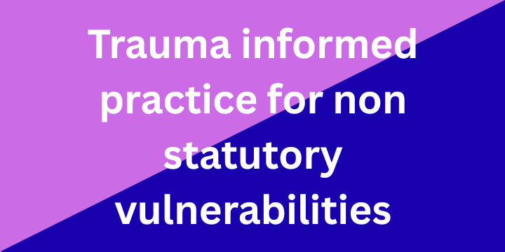 TIP%20non-stat%20vulnerabilities.png