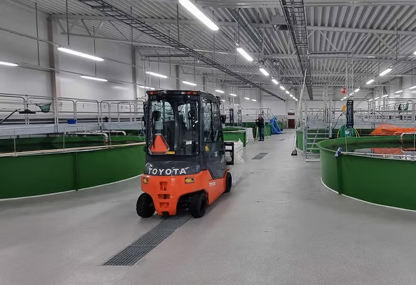 Lantra Counterbalance Forklift