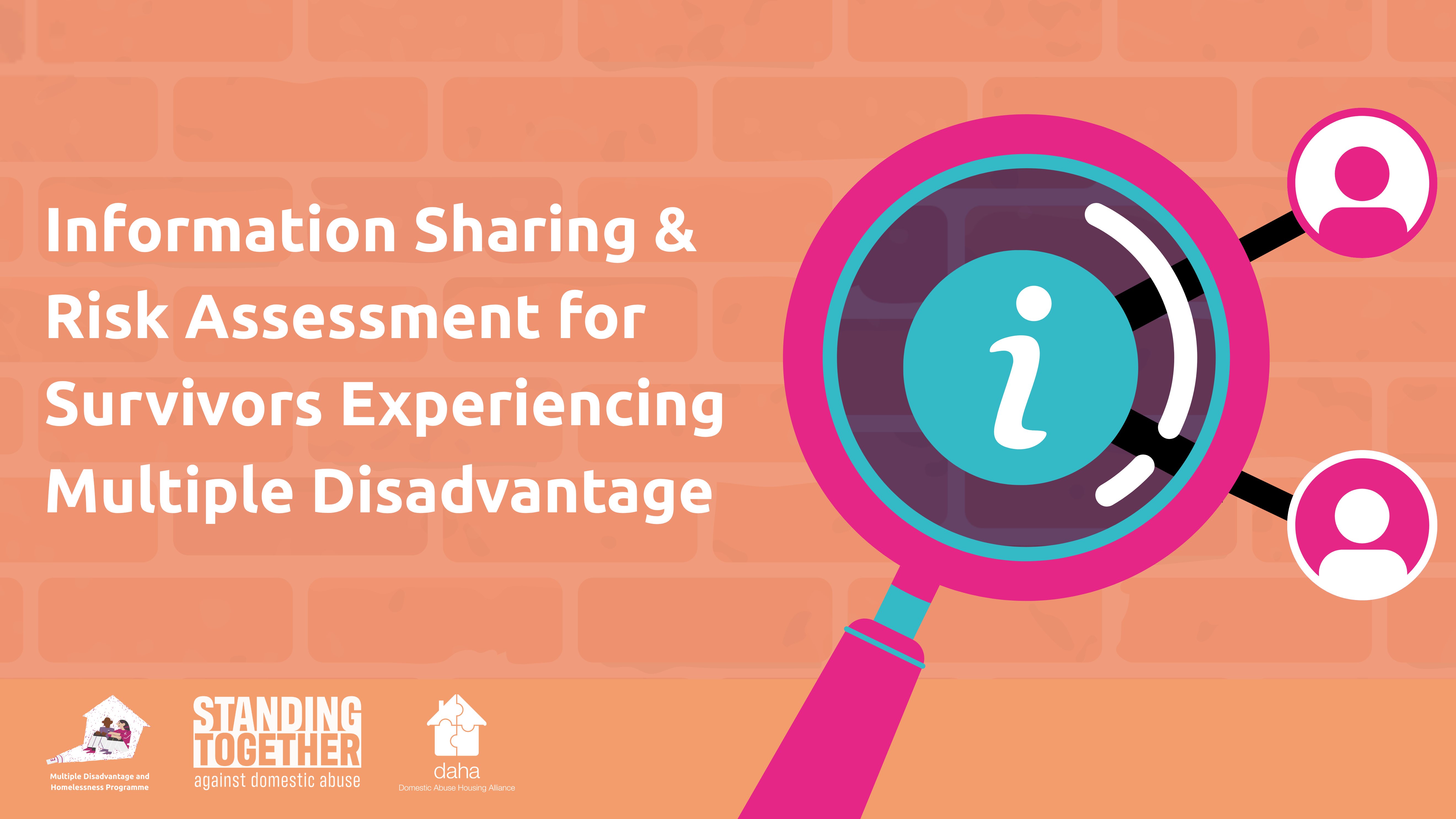 Information Sharing & Risk Assessment for Survivors  Experiencing Multiple Disadvantage
