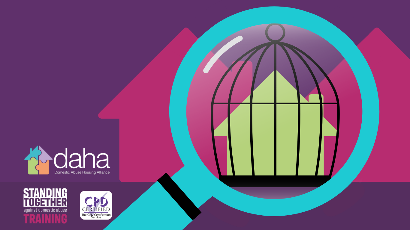 Identifying Domestic Abuse in Housing 