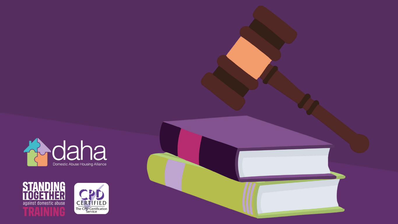 Domestic Abuse Legal Tools and Powers Awareness: Giving Your Customers Choices