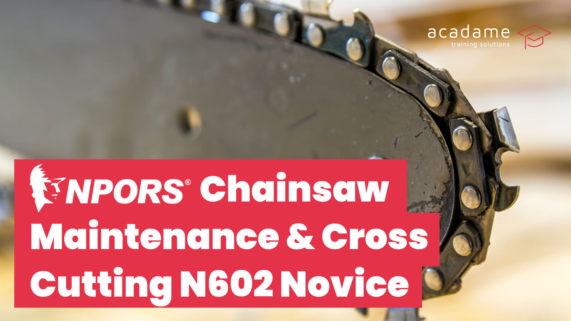 NPORS-Chainsaw-Maintenance-%26-Cross-Cutting-N602-Novice-training-course.jpg