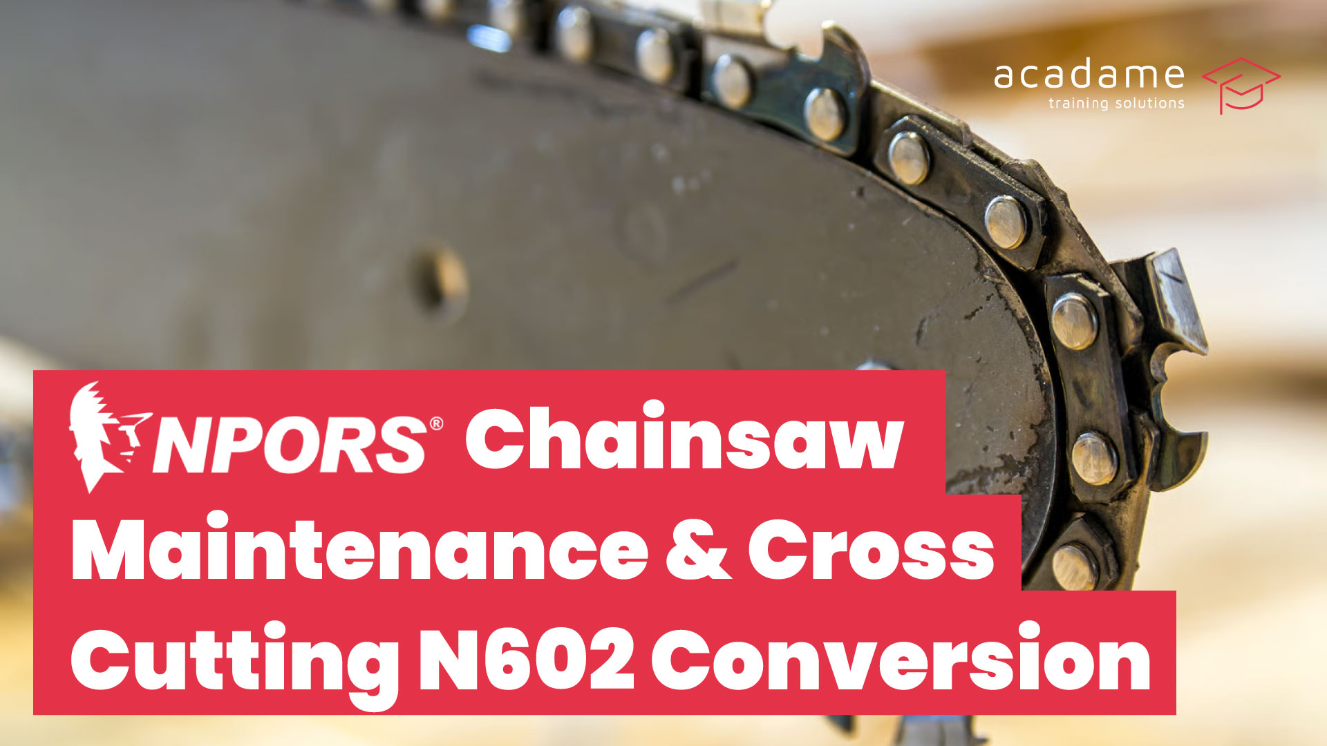 NPORS-Chainsaw-Maintenance-%26-Cross-Cutting-N602-Conversion-training-course.jpg