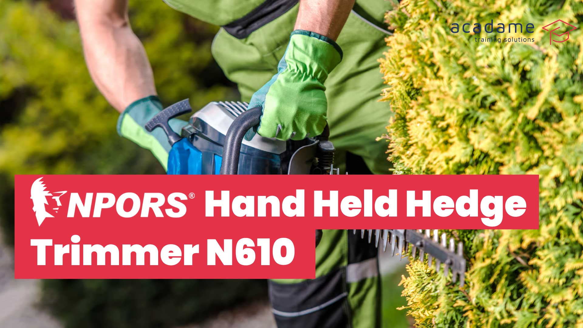 NPORS-Hand-Held-Hedge-Trimmer-N610-training-course.jpg