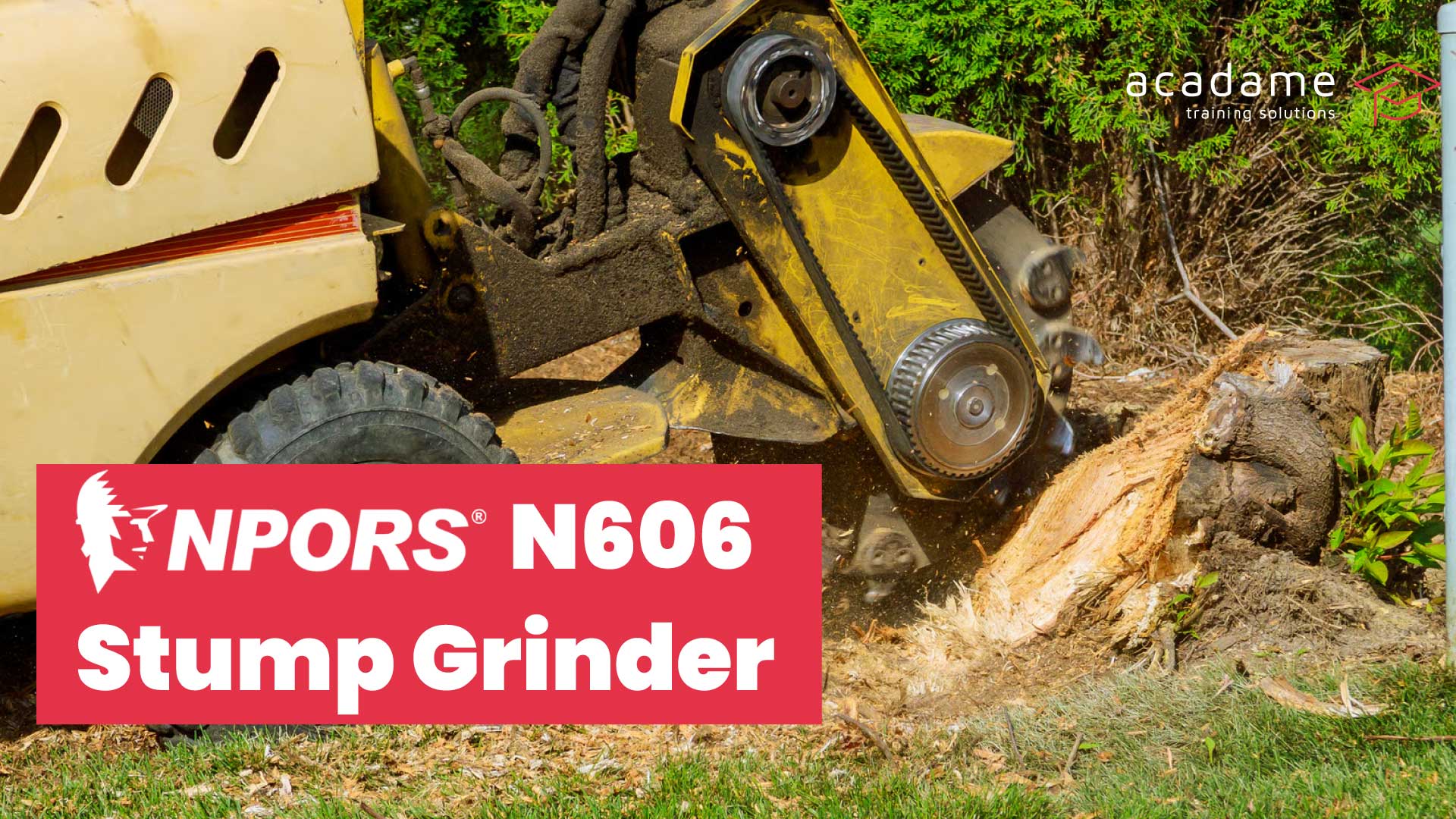 NPORS-Stump-Grinder-N606-training-course.jpg