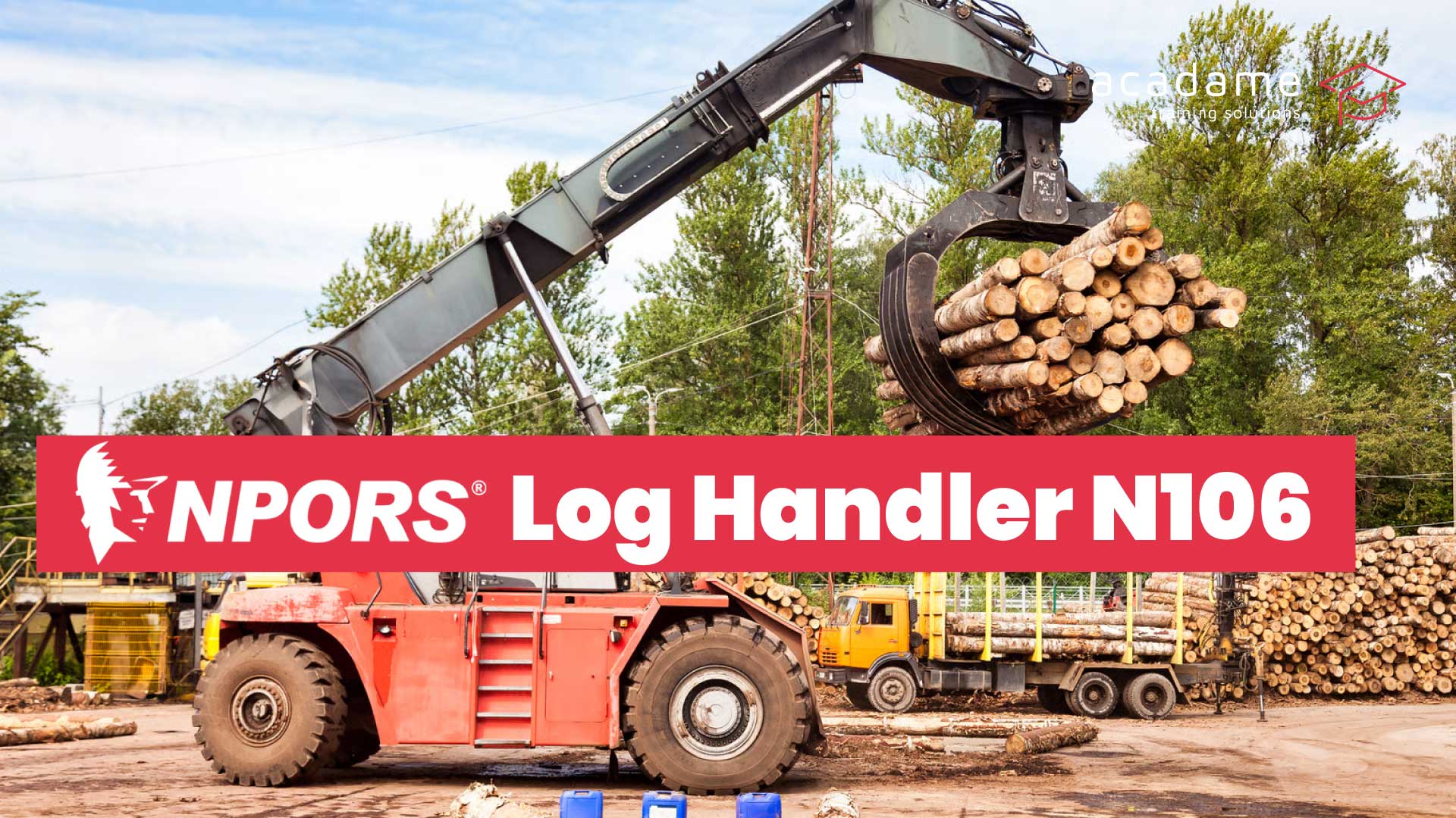 NPORS-Log-Handler-N106-training-course.jpg