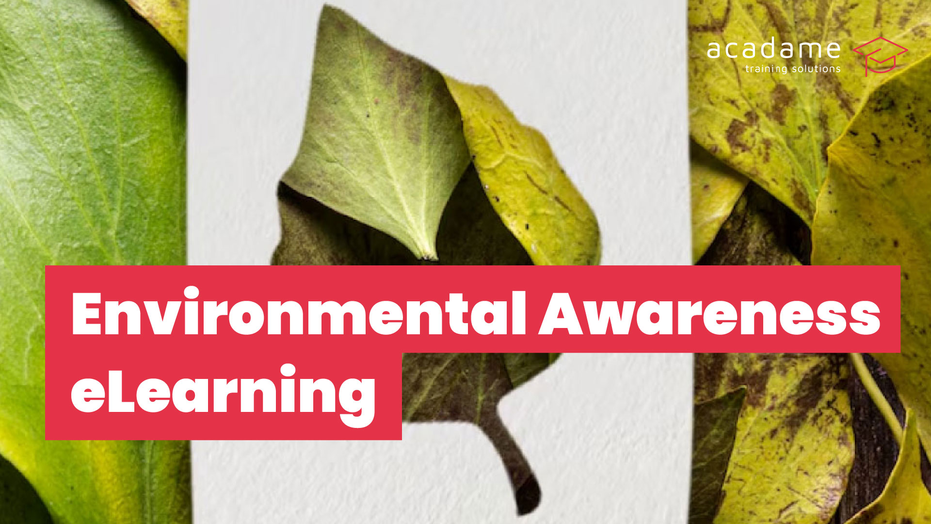 Environmental-Awareness-ELearning-Course.jpg