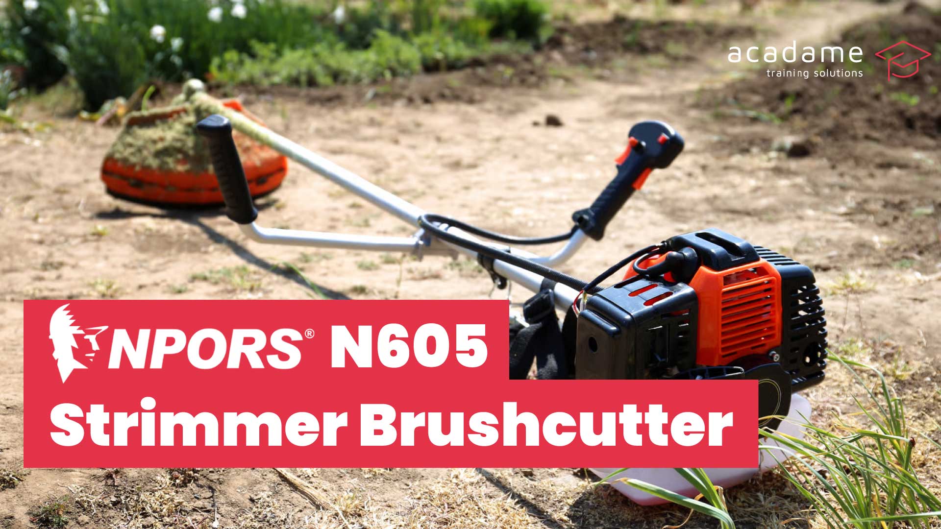 NPORS-Strimmer-Brushcutter-N605-training-course.jpg