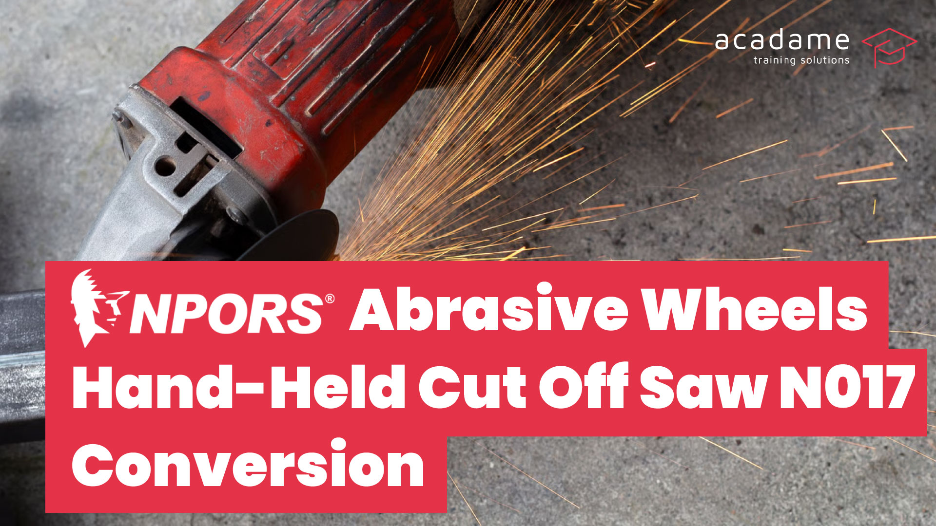 npors-Abrasive-Wheels-Hand-Held-Cut-Off-Saw-N017-conversion-training-course.jpg