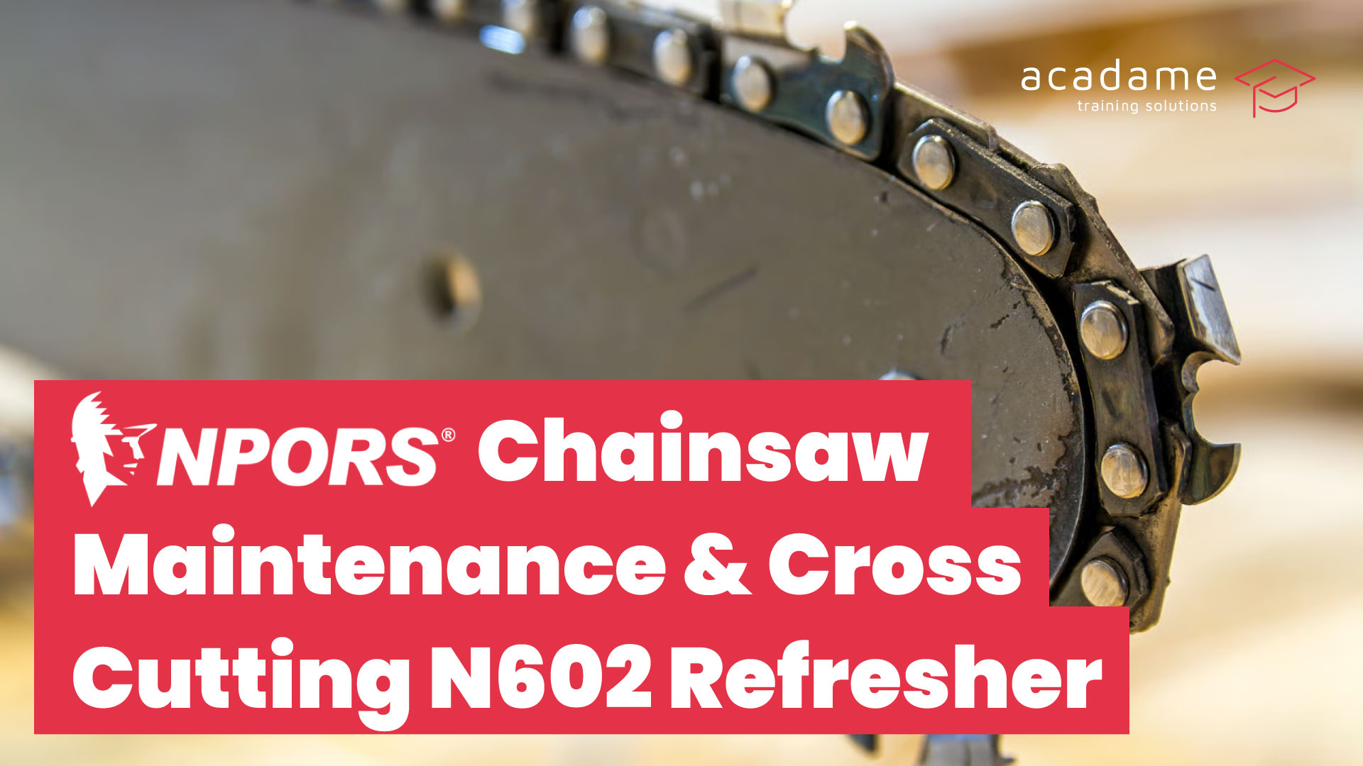 NPORS-Chainsaw-Maintenance-%26-Cross-Cutting-N602-Refresher-training-course.jpg