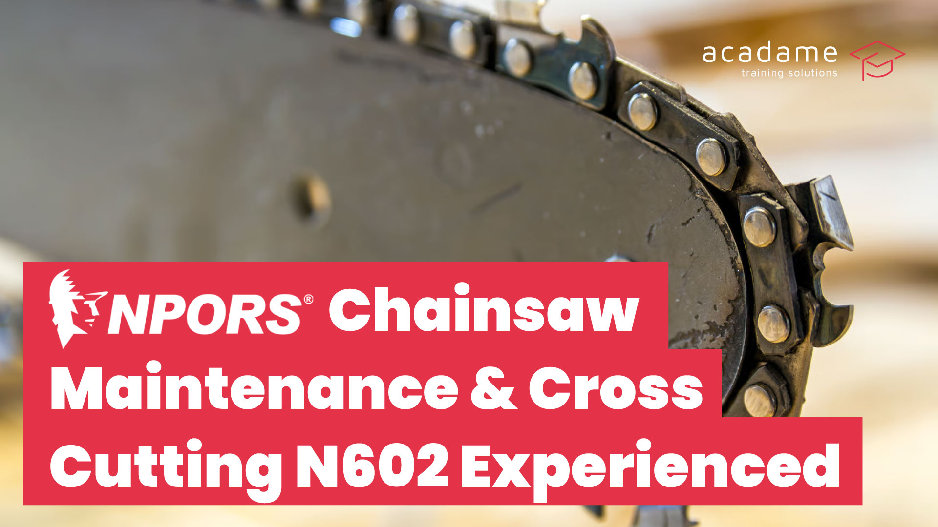 NPORS-Chainsaw-Maintenance-%26-Cross-Cutting-N602-Experienced-training-course.jpg