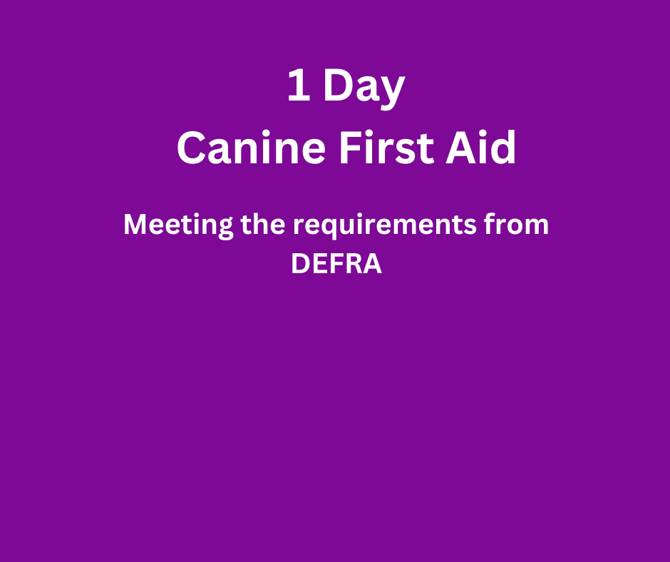 1 Day Level 3 Canine First Aid Course 