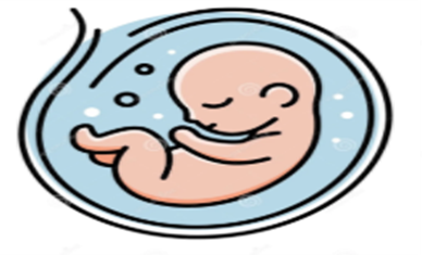 Understanding In Utero Trauma