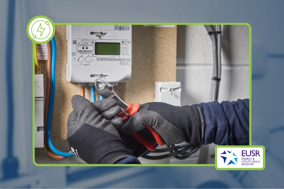 Single Phase Cut-Out (EUSR Smart Metering)