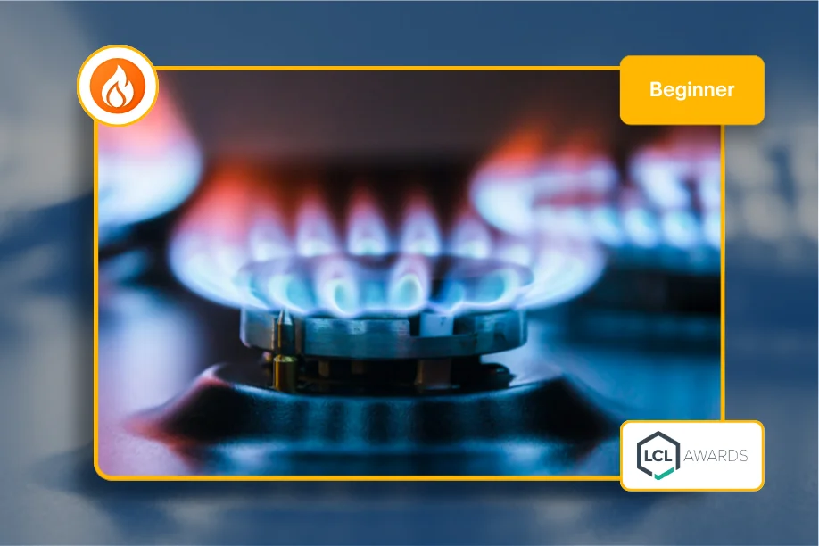 Gas Managed Learning Programme - MLP (LCL Awards)