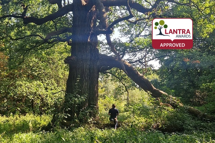 Professional Tree Inspection (LANTRA Awards)