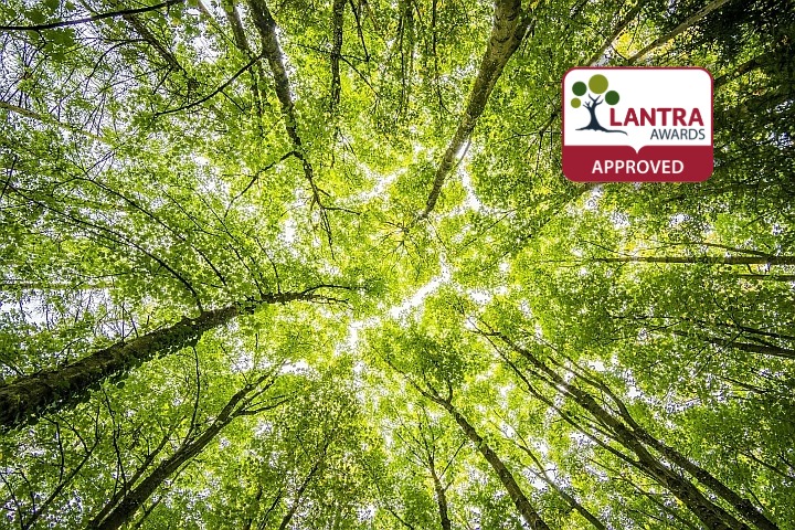 Using a Powered Pole Pruner (LANTRA Awards)