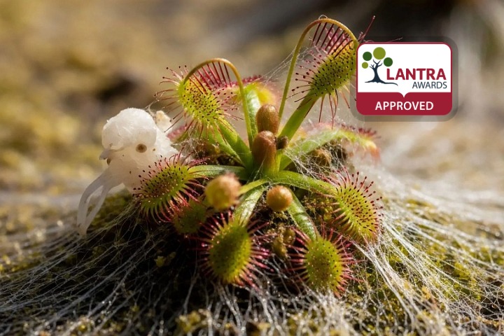 Invasive Non-native Species and Biosecurity Awareness (LANTRA Awards)