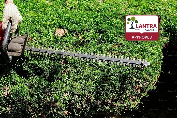 Hand Held Hedge Trimmer Operations (LANTRA Awards)