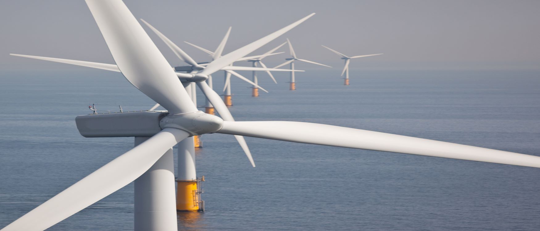 GWO1.jpg