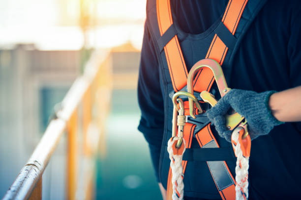 _istockphoto-1071581190-612x612.jpg