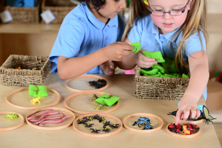 Developing Young Mathematicians EYFS & KS1