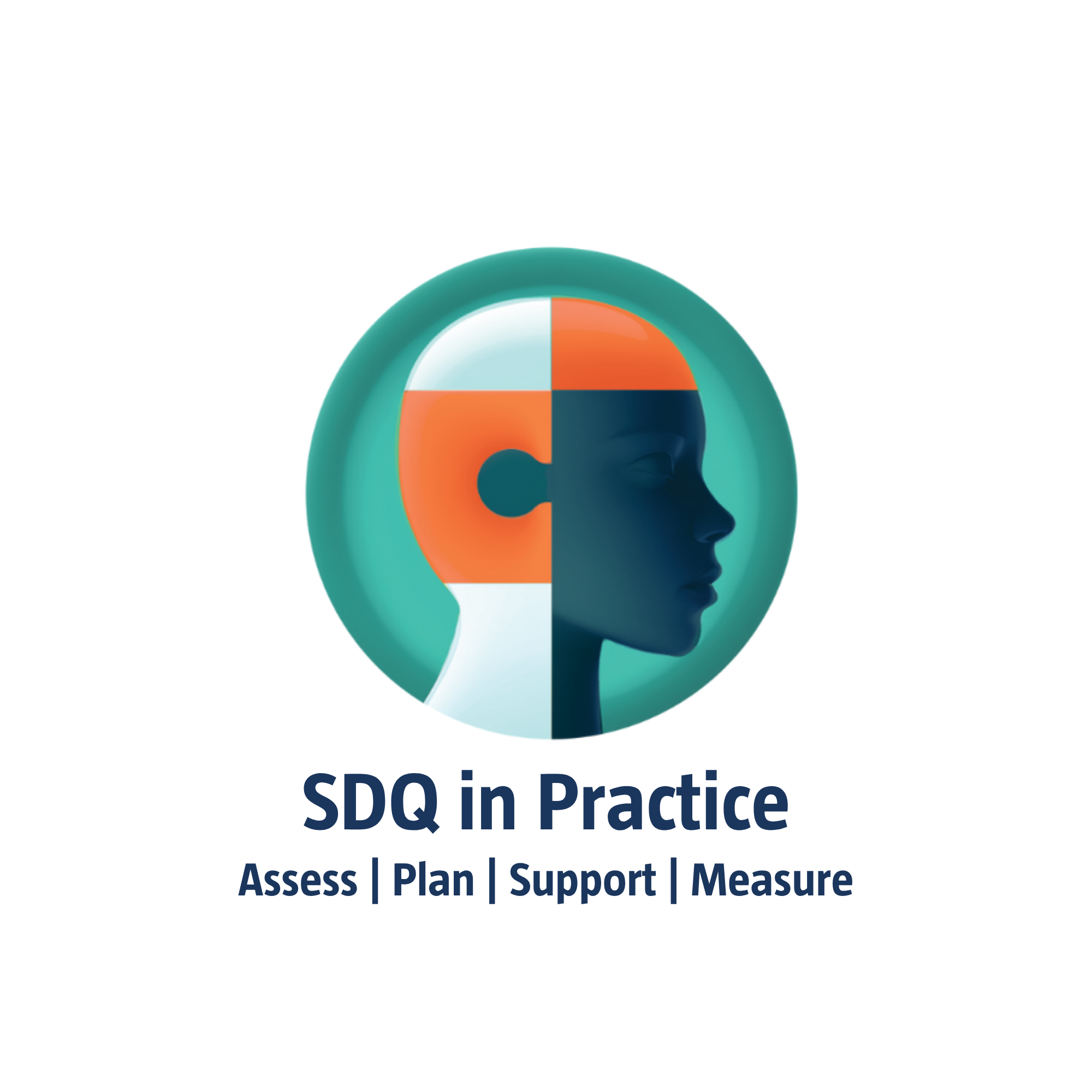SDQ in Practice: From Assessment to Impact