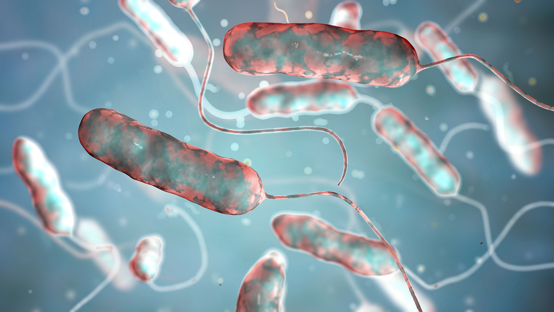 Legionella%20Awareness%20Training%202.jpg