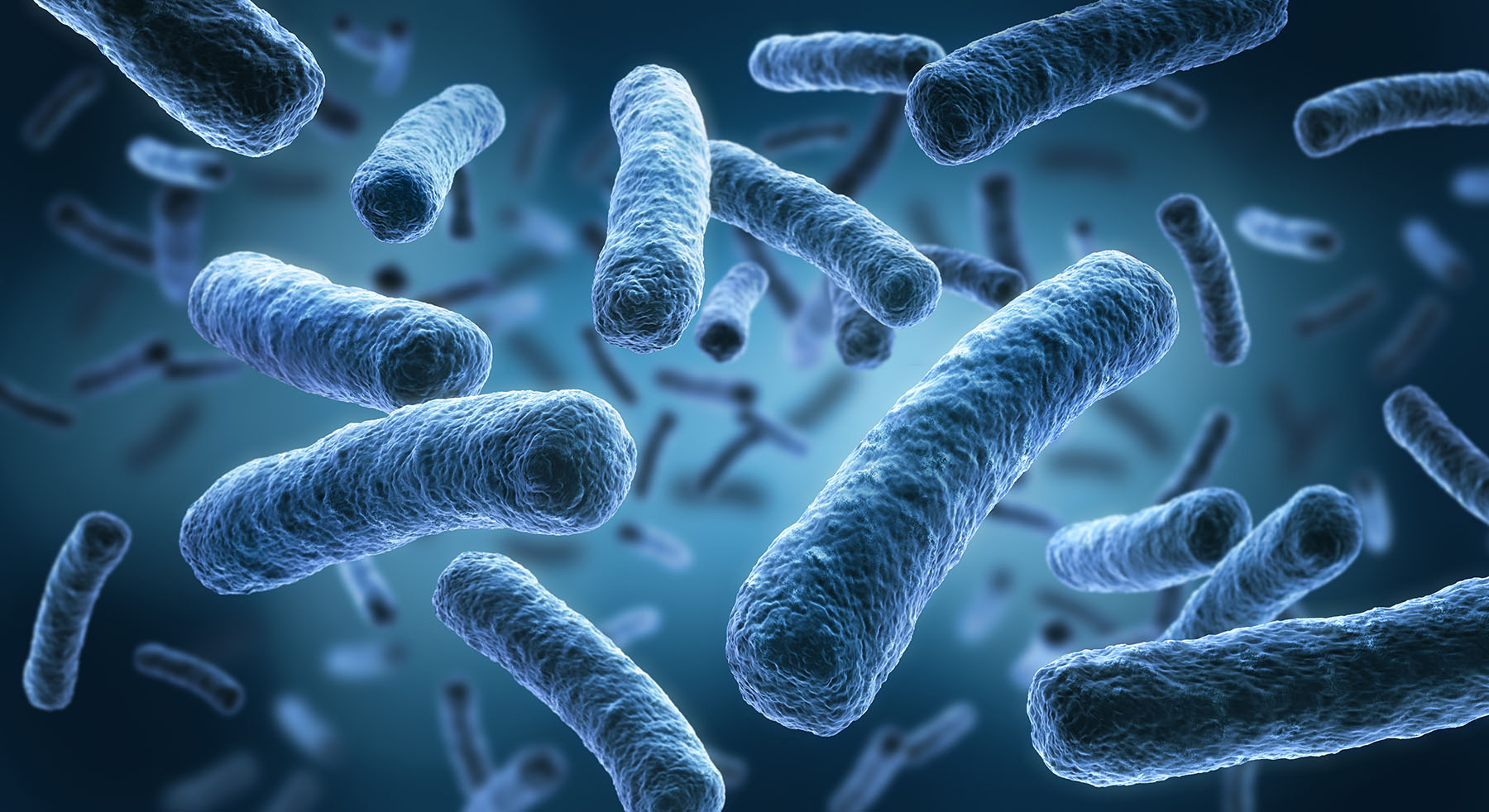 Legionella%20Awareness%20Training%201.jpg